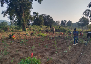 Highest Attendance Award in Hazaribagh, Jharkhand