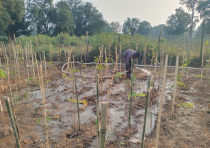 Personal Meeting with the Family of Absent Students in Dhule, Maharashtra