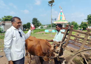 Door to Door Animal Checkup Activity in Dhule, Maharashtra